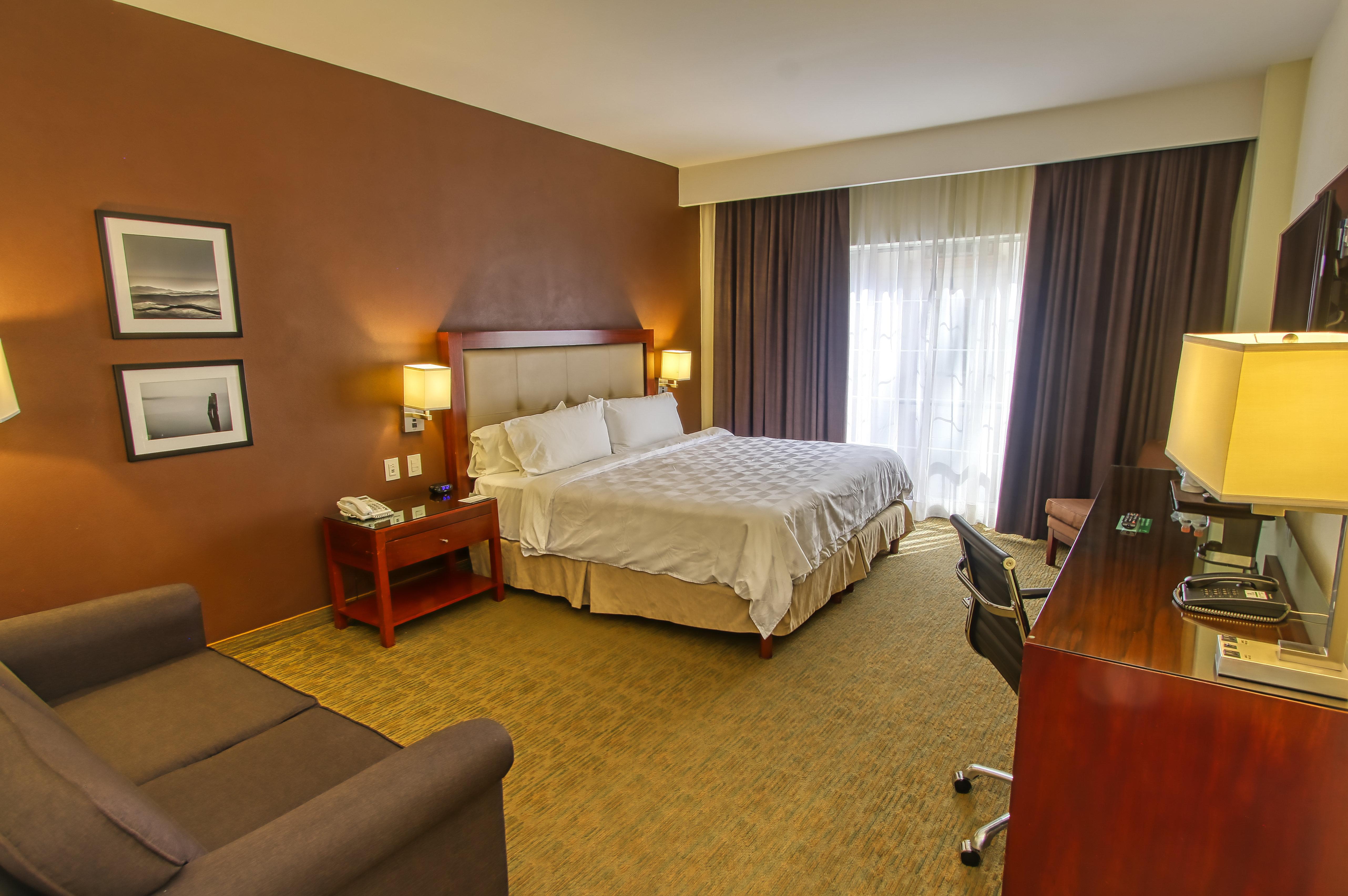 holiday inn leon by ihg