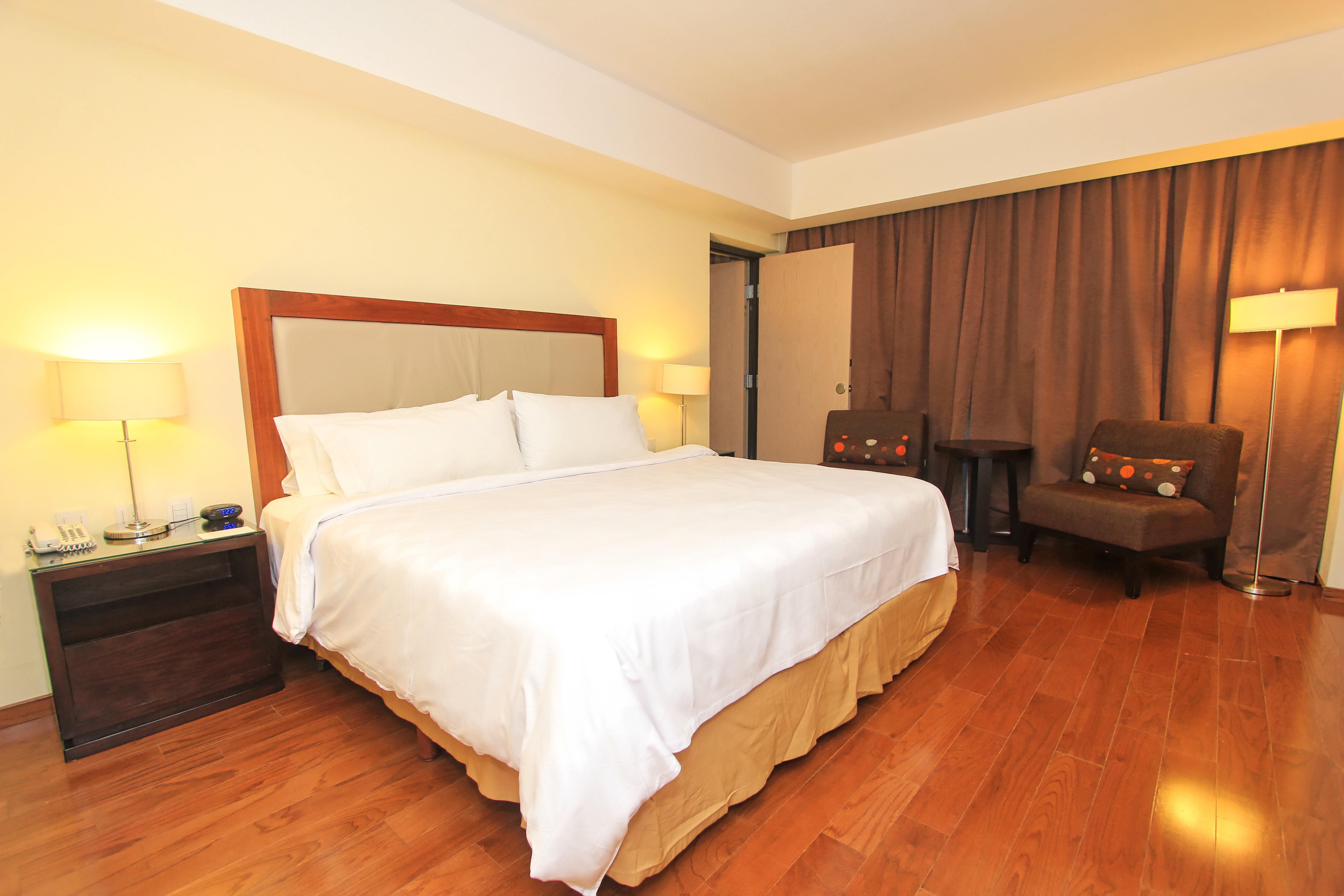 holiday inn leon by ihg