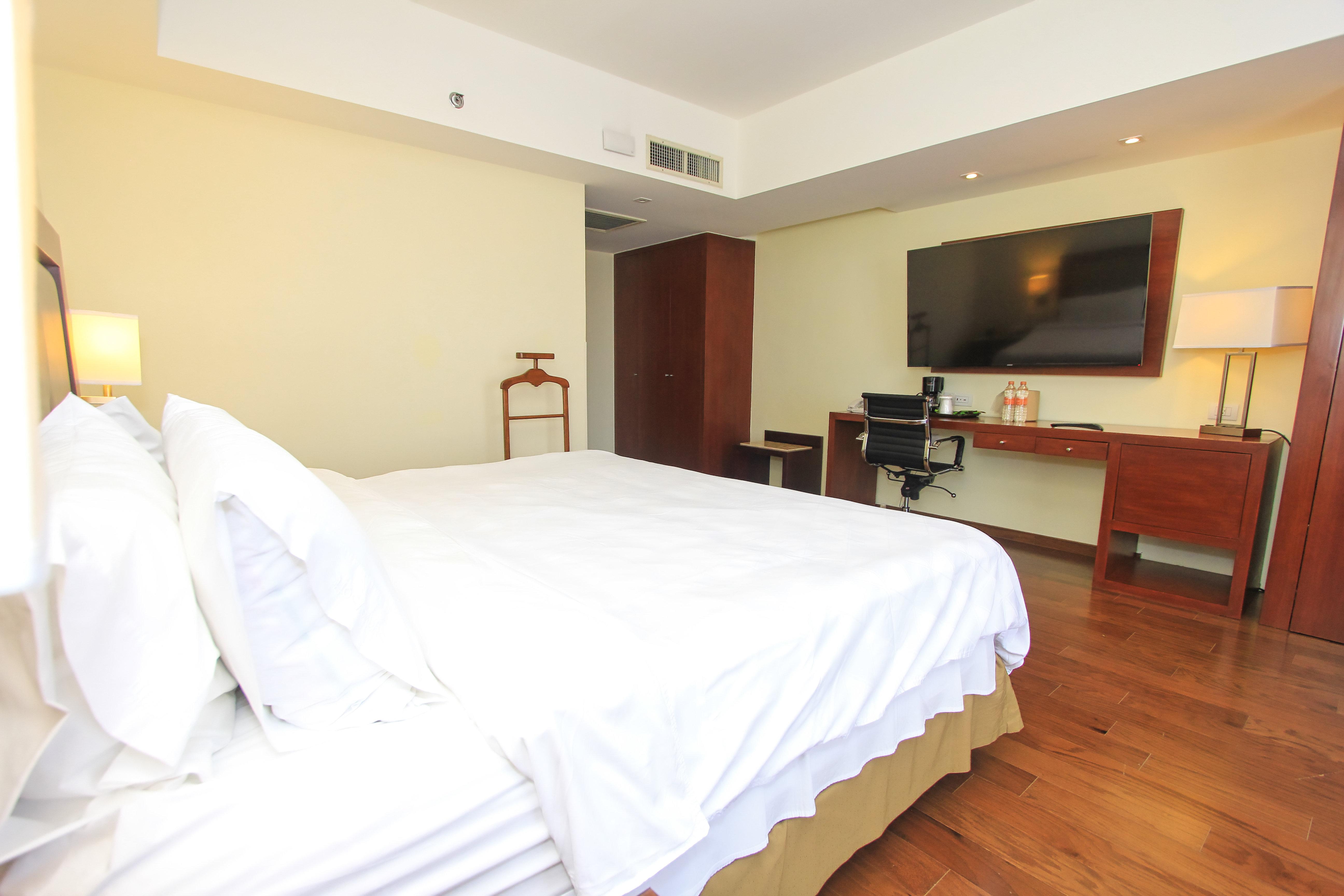 holiday inn leon by ihg