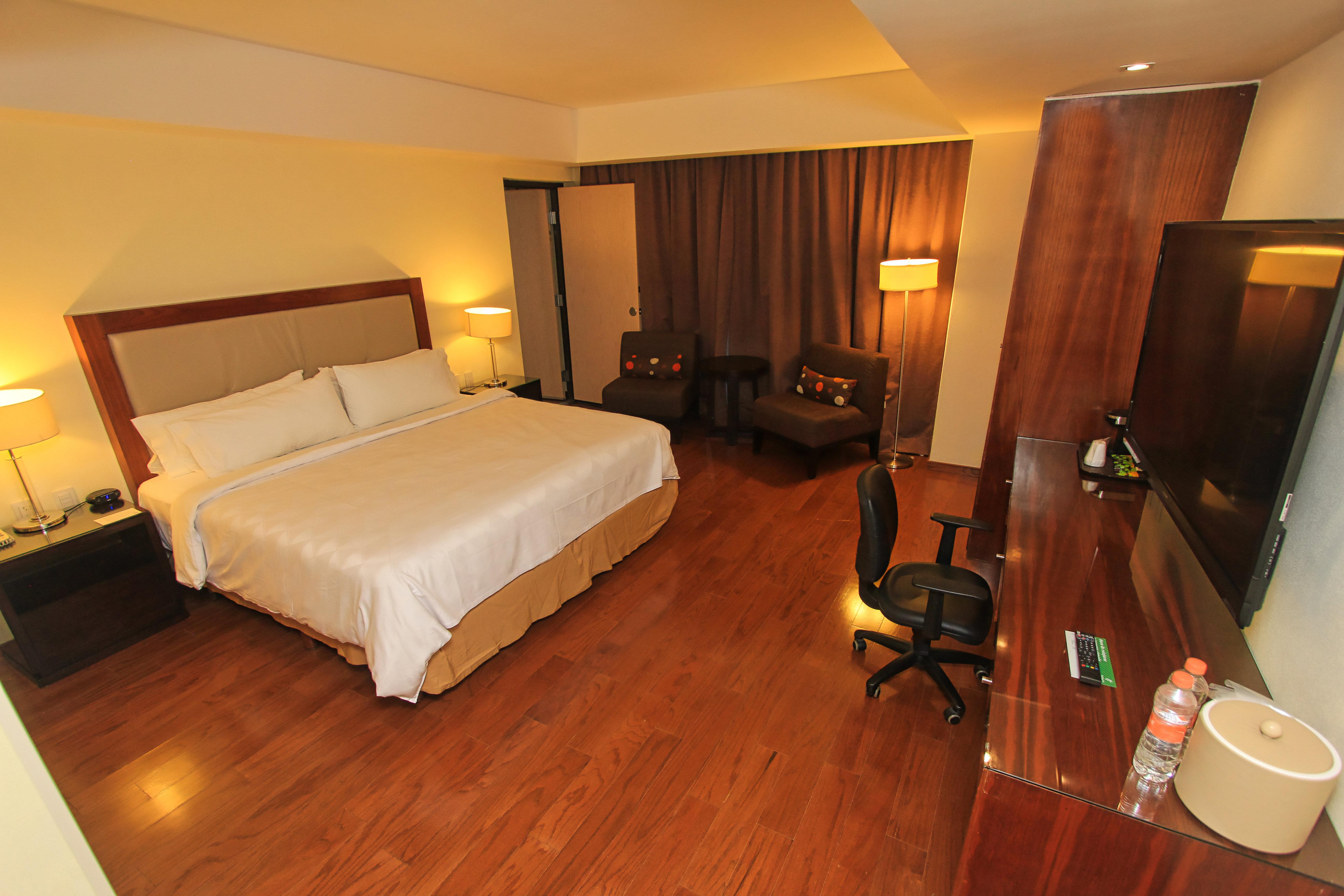 holiday inn leon by ihg