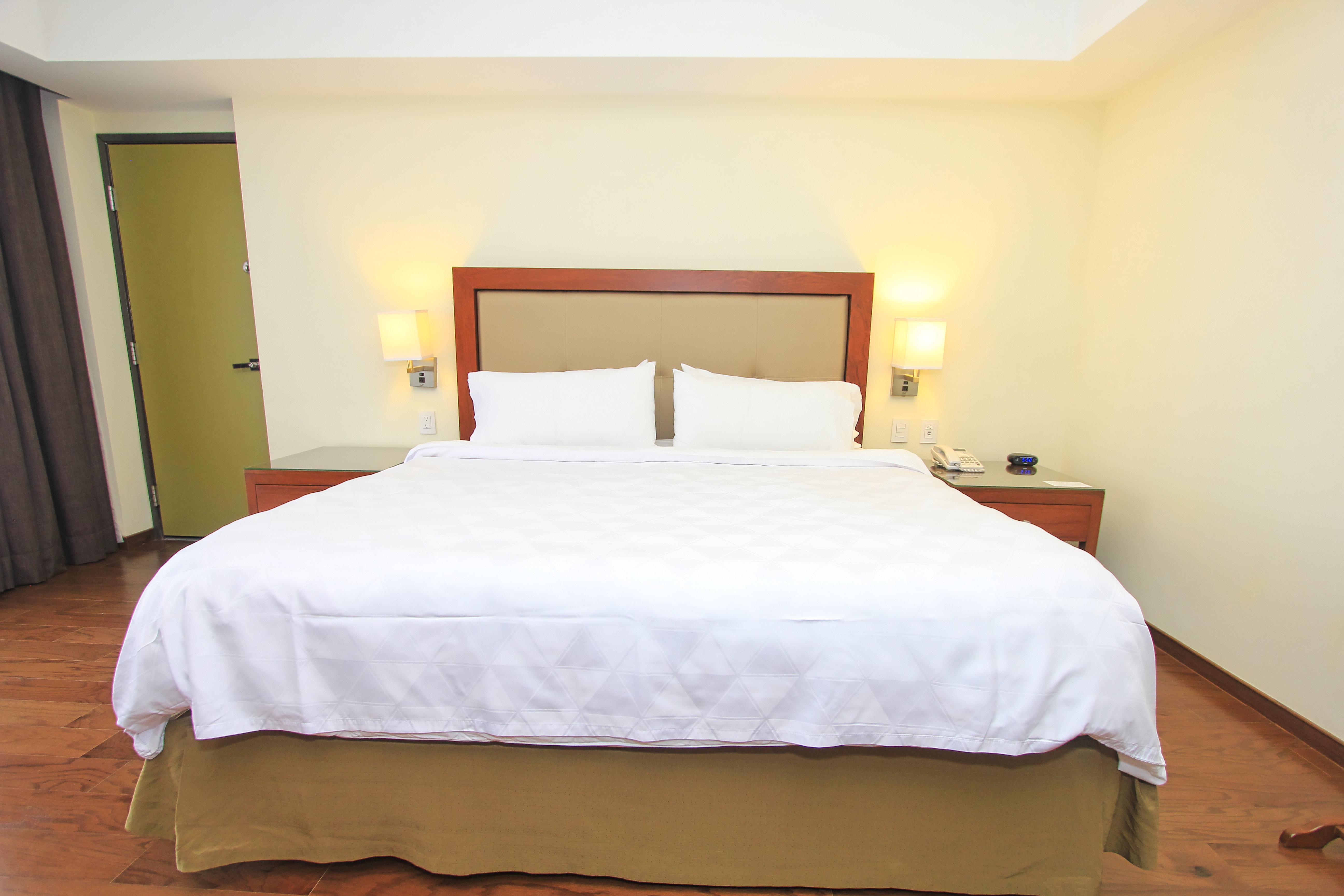 holiday inn leon by ihg
