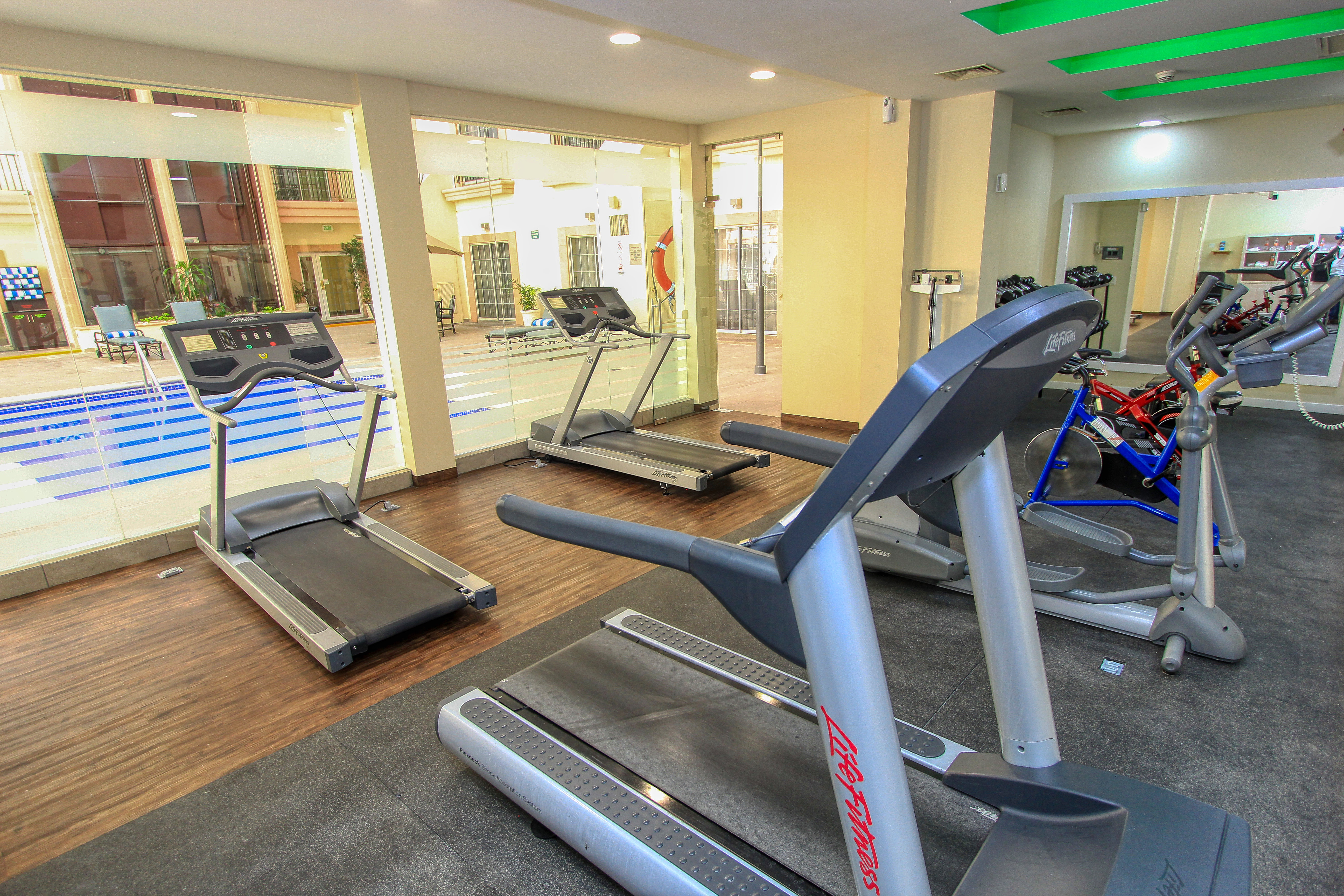 holiday inn leon by ihg