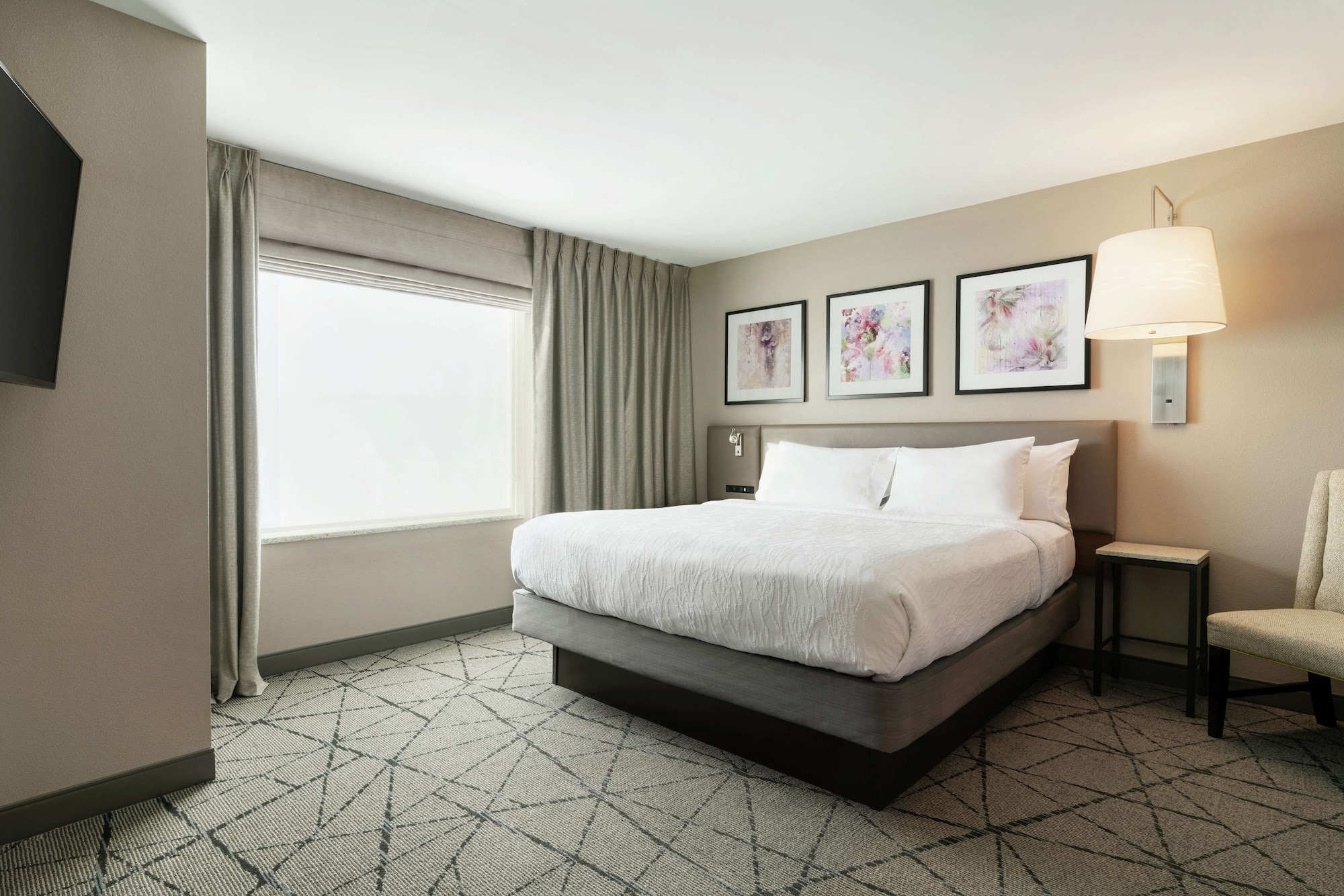 hilton garden inn springfield