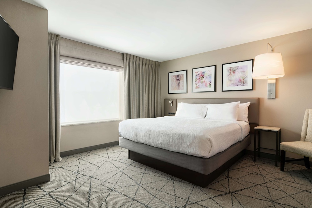 hilton garden inn springfield