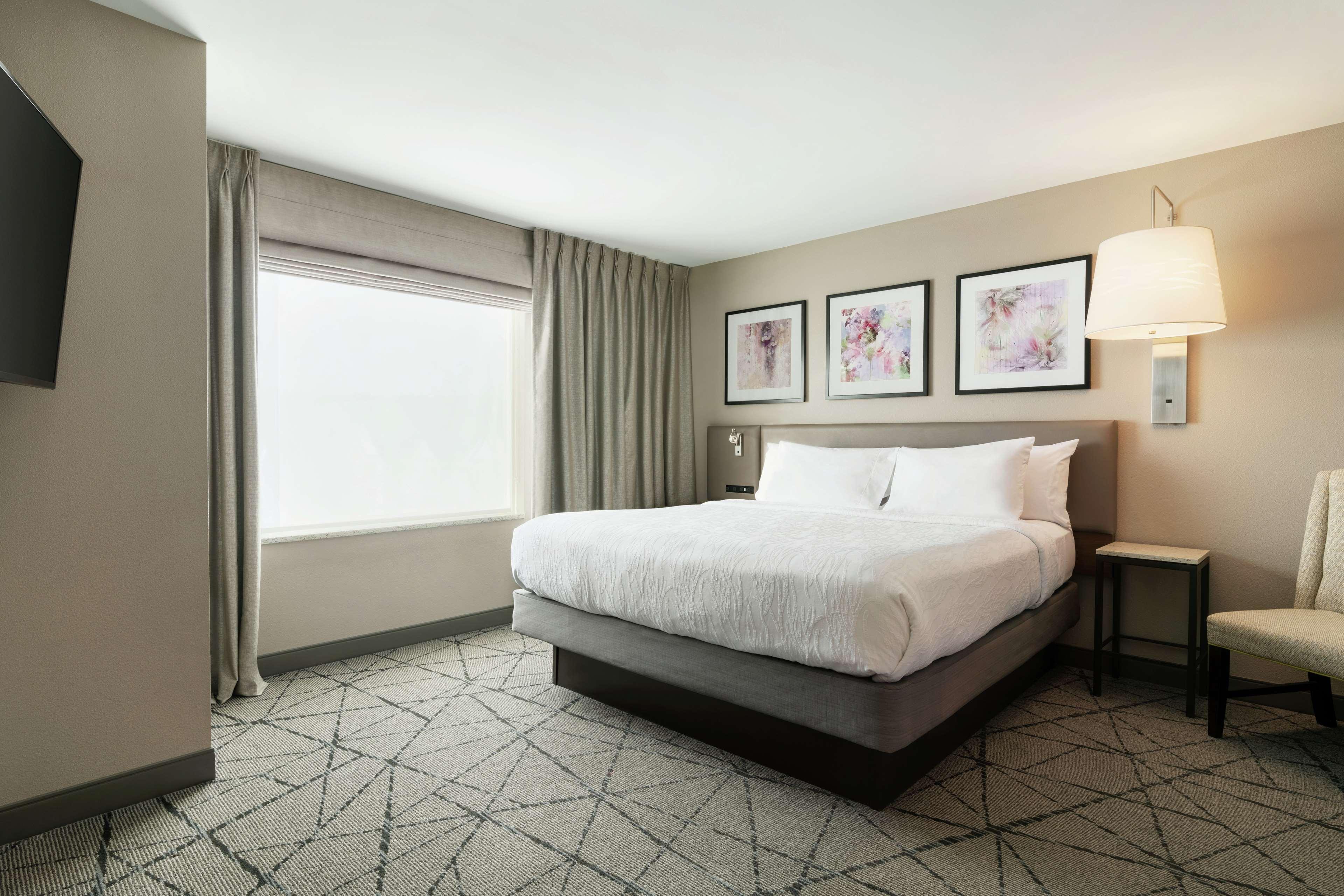 hilton garden inn springfield