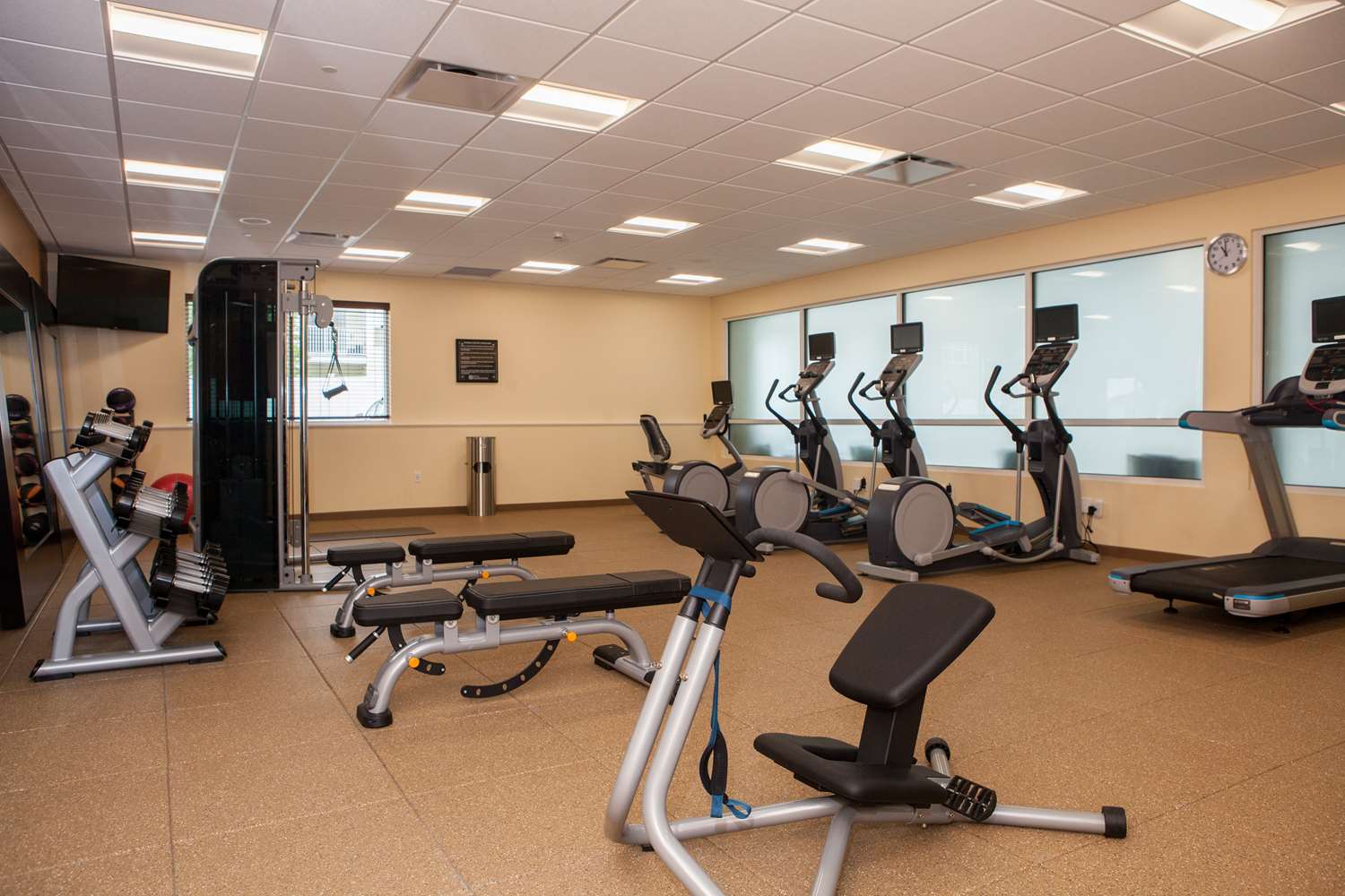 hilton garden inn springfield