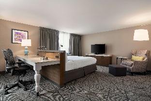 hilton garden inn springfield