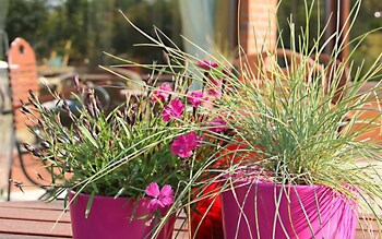 landhaus ostseeblick