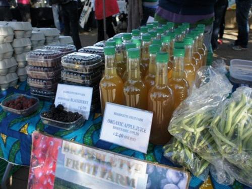 charlotte guest house