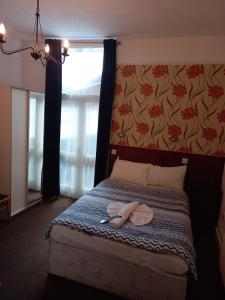 charlotte guest house