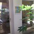 residenza motta