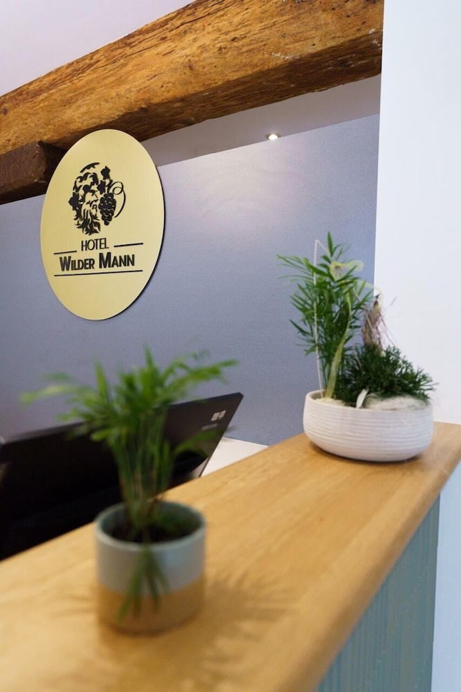 hotel wilder mann