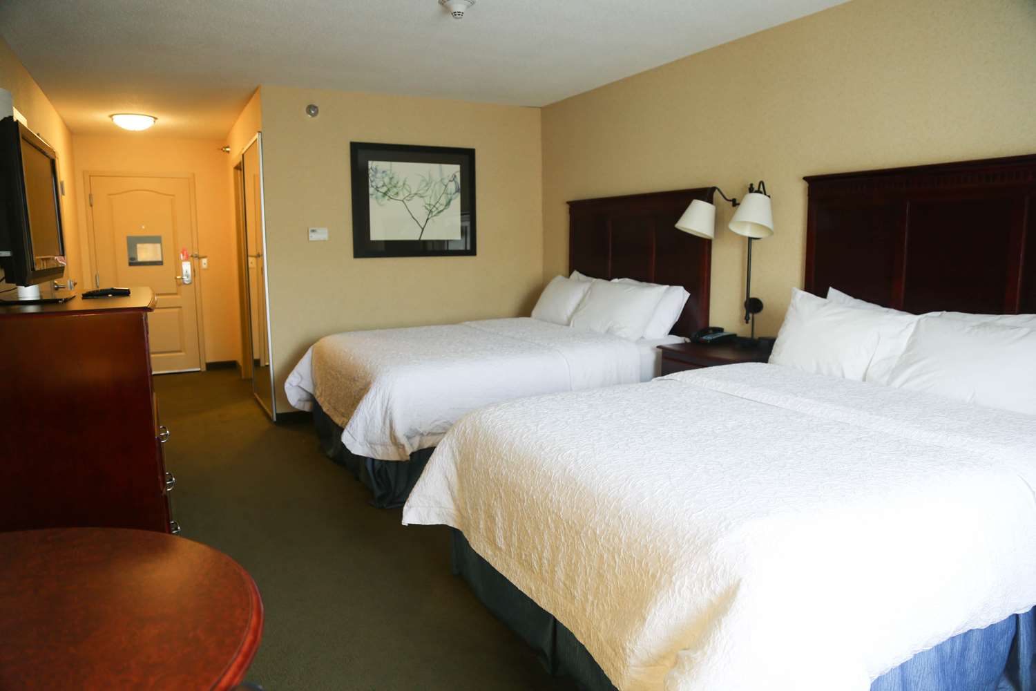 hampton inn morehead