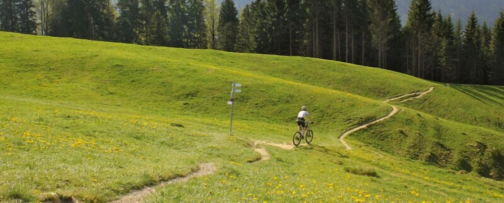 oberstaufen