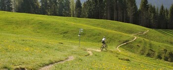 oberstaufen