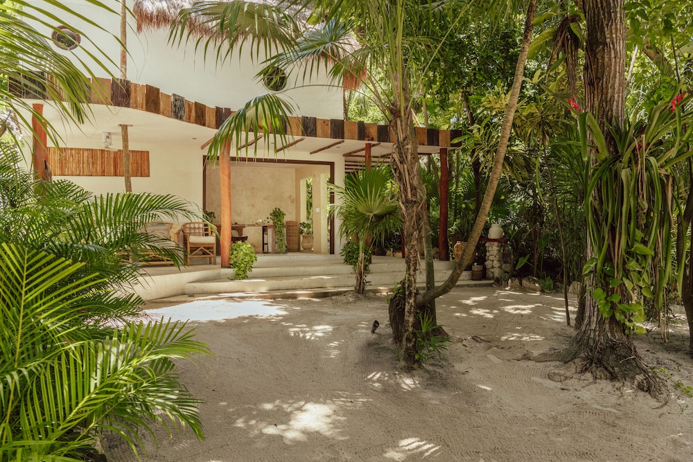 hotel dos ceibas eco retreat tulum