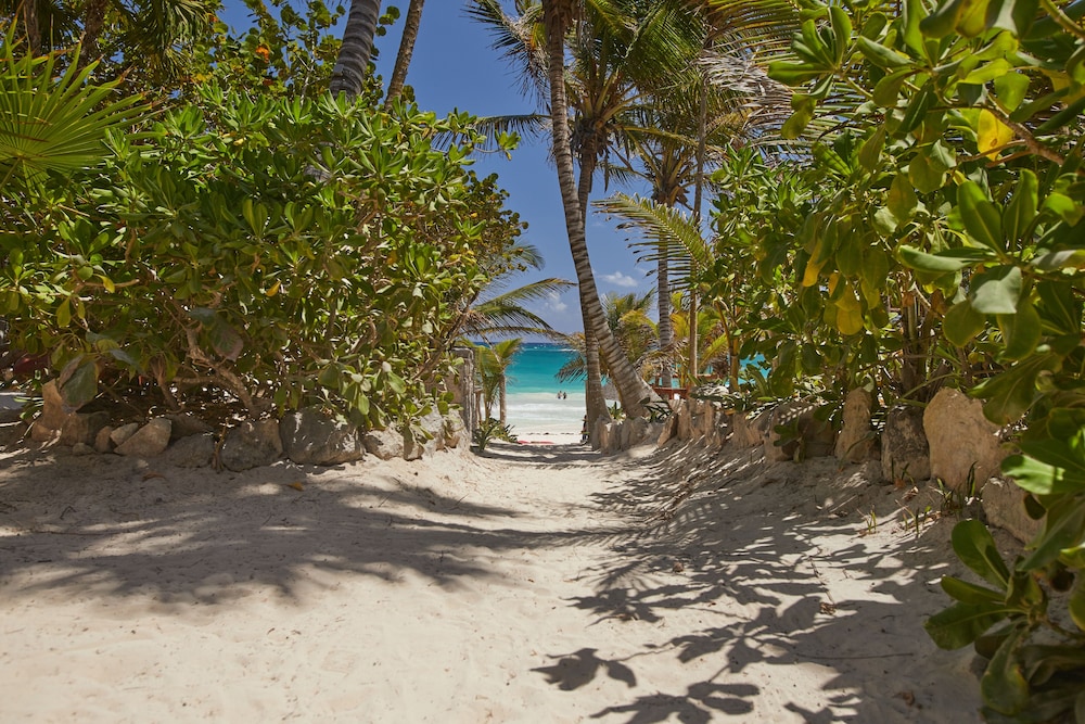 hotel dos ceibas eco retreat tulum