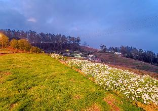 silent retreat ooty farm resort by voye homes