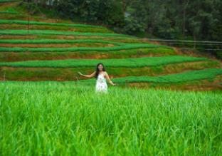 silent retreat ooty farm resort by voye homes