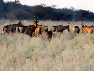 gabus game ranch