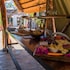 gabus game ranch