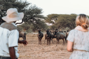Gabus Game Ranch,Otavi>>Etosha,3 star