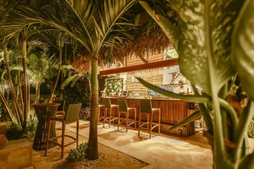 jijoca de jericoacoara