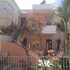 platanias