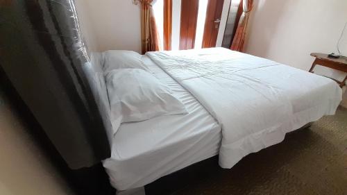 homestay merpati dieng syariah redpartner