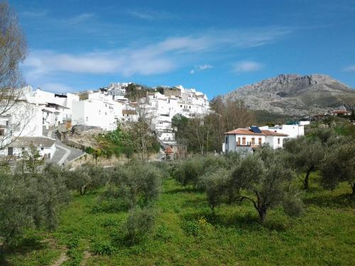 hotel la casa grande del burgo