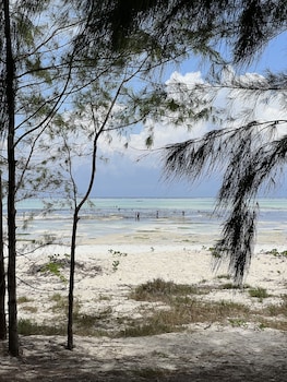 kivuli beach resort paje