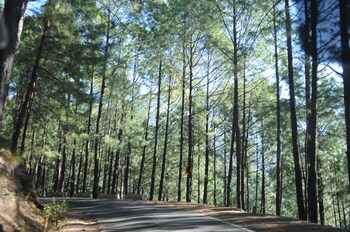 corbett hill resort by royal collection hotels