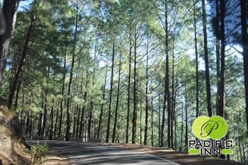 corbett hill resort by royal collection hotels