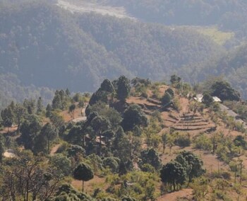 corbett hill resort by royal collection hotels