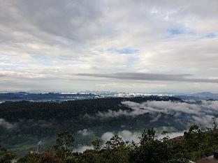 Seekend Holidays Munnar,,5 star