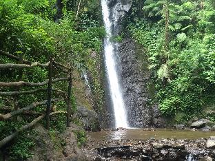 pall inn puncak