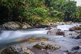 pall inn puncak