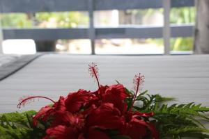 capricorn international hotel