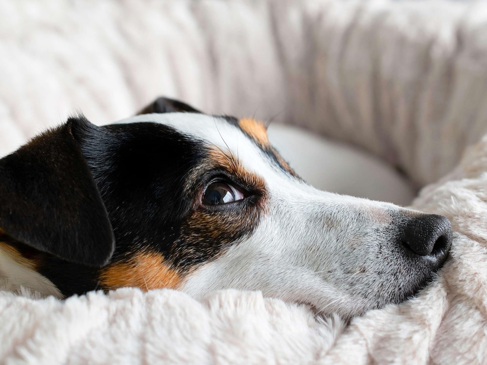 ibis budget nantes nord saint herblain