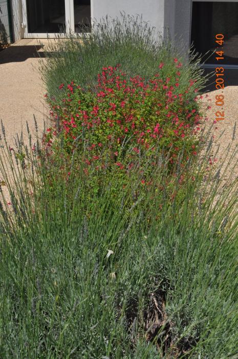 ibis budget istres trigance