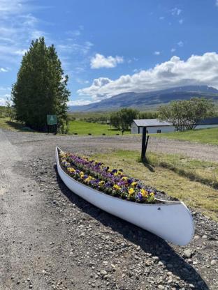 skagafjorour