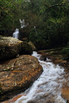 The Rainforest Ecolodge,Deniyaya>>Colombo,4 star