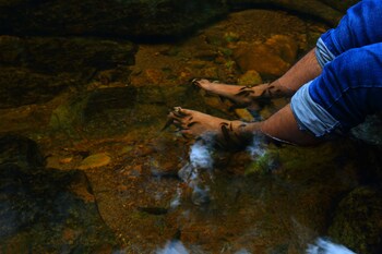 The Rainforest Ecolodge,Deniyaya>>Colombo,4 star