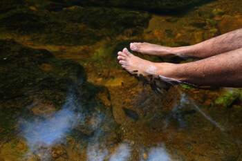 the rainforest ecolodge