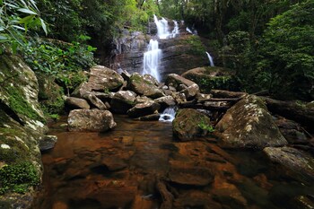 the rainforest ecolodge