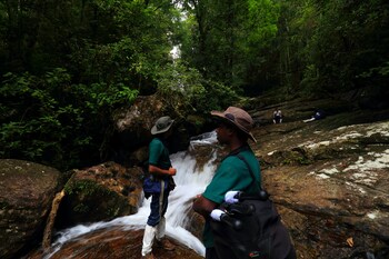 the rainforest ecolodge