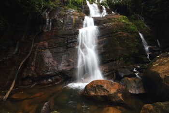 the rainforest ecolodge