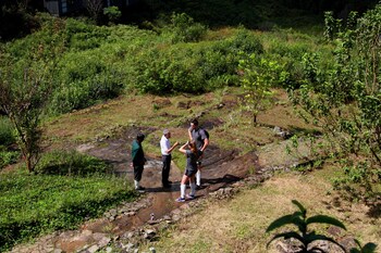 the rainforest ecolodge
