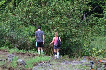 the rainforest ecolodge