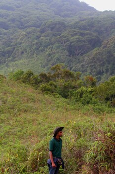 the rainforest ecolodge